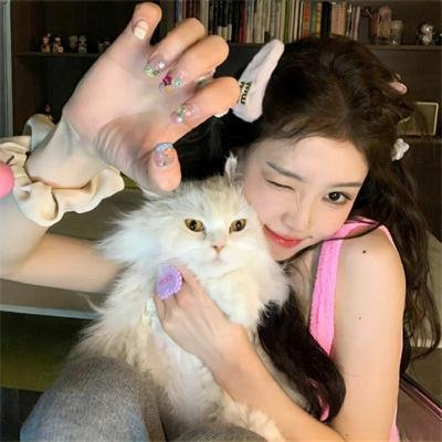 当家小娘子