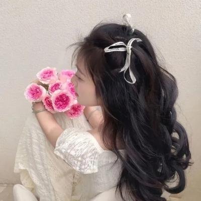 枪与玫瑰:少帅的逃爱游戏